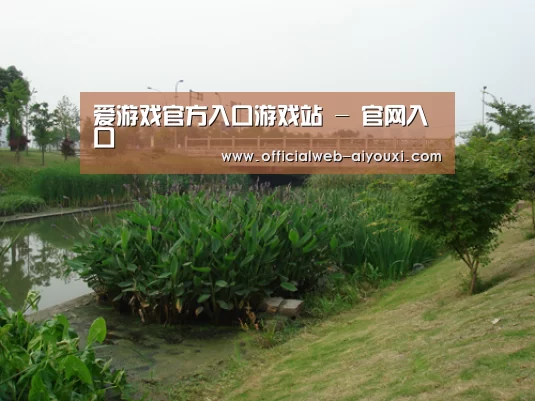 案例展示四(图1)