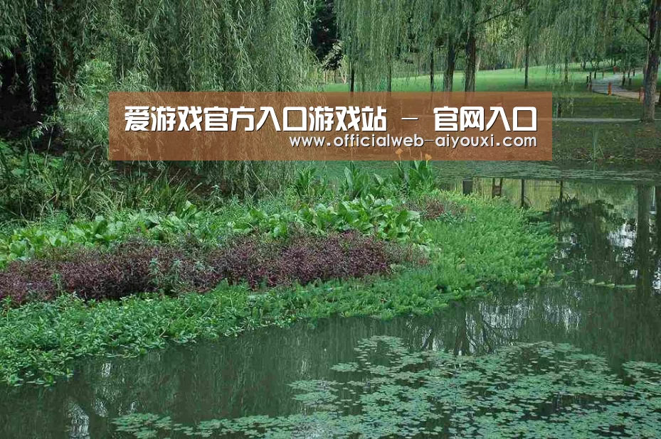 案例展示一(图1)