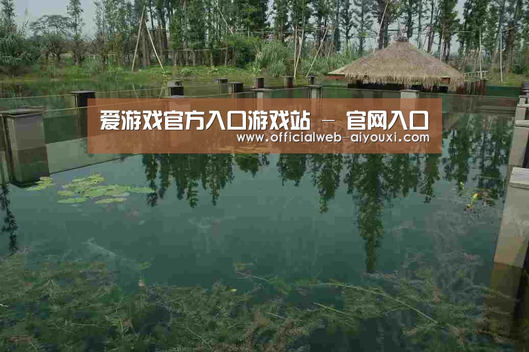 案例展示二(图1)
