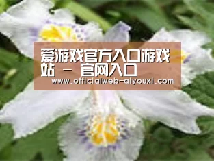 产品名称二