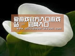 产品名称七