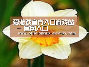 产品名称四