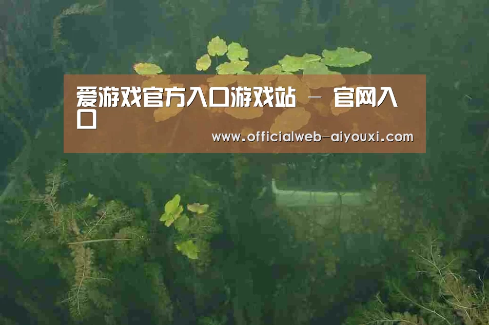 案例展示三