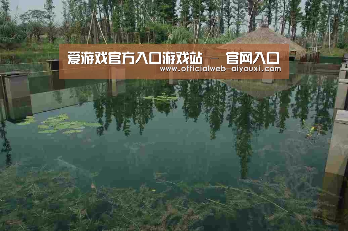 案例展示二