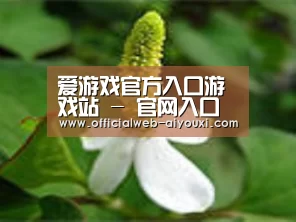 产品名称三