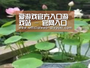 产品名称一