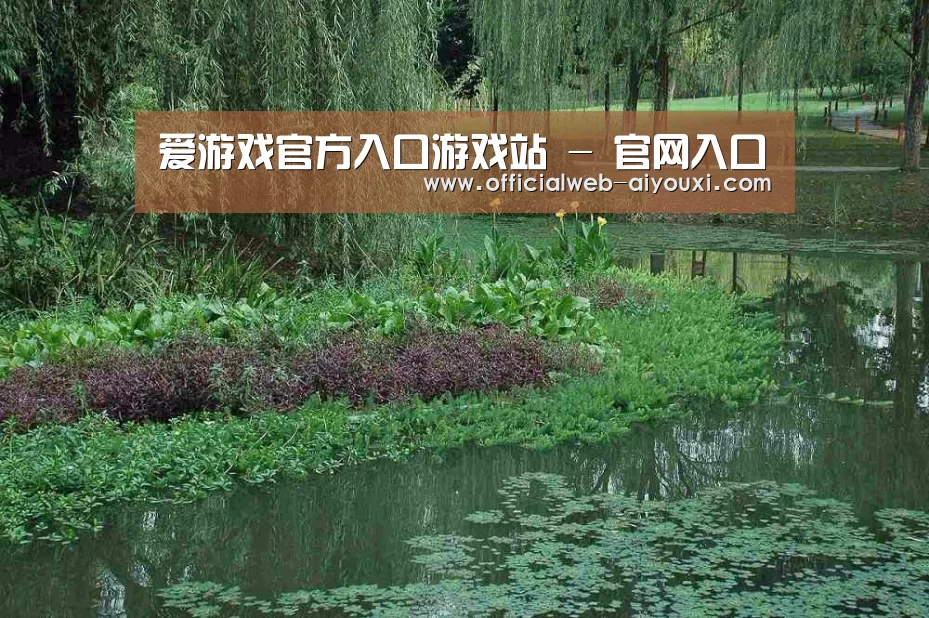 案例展示一