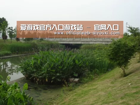 案例展示四