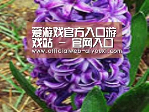 产品名称八