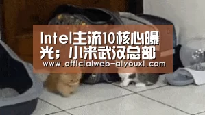 Intel主流10核心曝光;小米武汉总部项目开工;美国商业载人飞船明年试飞|雷锋早报‘爱游戏体育全站’(图2) 爱游戏体育全站