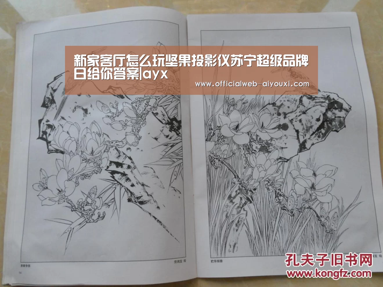 新家客厅怎么玩坚果投影仪苏宁超级品牌日给你答案|ayx(图3) 新家客厅怎么玩坚果投影仪苏宁超级品牌日给你答案|ayx(图3)