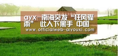 ayx-南海突发“狂风骤雨” 此人下黑手 中国震怒(图4) ayx-南海突发“狂风骤雨” 此人下黑手 中国震怒(图4)
