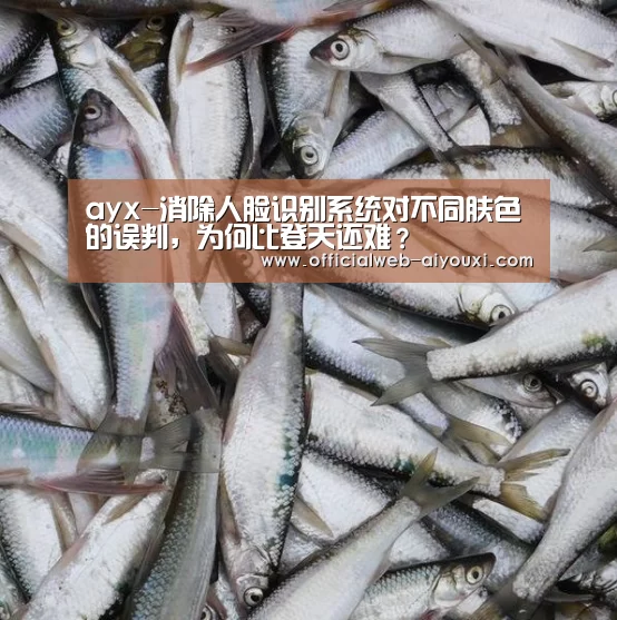 ayx-消除人脸识别系统对不同肤色的误判,为何比登天还难?(图2) 爱游戏官方入口