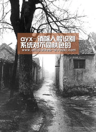 ayx-消除人脸识别系统对不同肤色的误判,为何比登天还难?(图3) 爱游戏官方入口