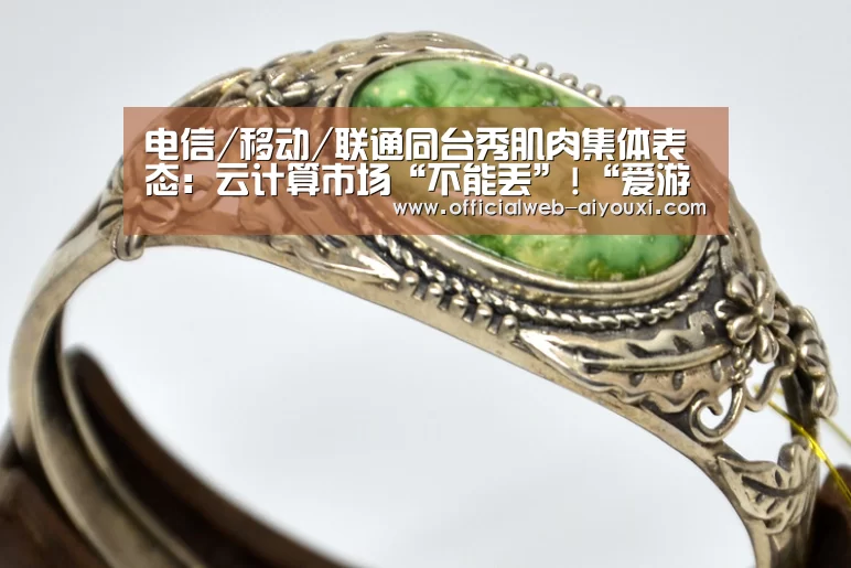 电信/移动/联通同台秀肌肉集体表态:云计算市场“不能丢”!“爱游戏app”(图2) 爱游戏官方入口
