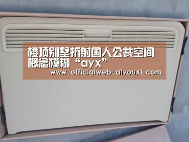 楼顶别墅折射国人公共空间概念模糊“ayx”(图2) 爱游戏app