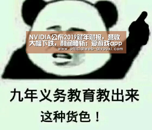 NVIDIA公布2019财年财报，营收大幅下跌，利润腰斩：爱游戏app(图1)