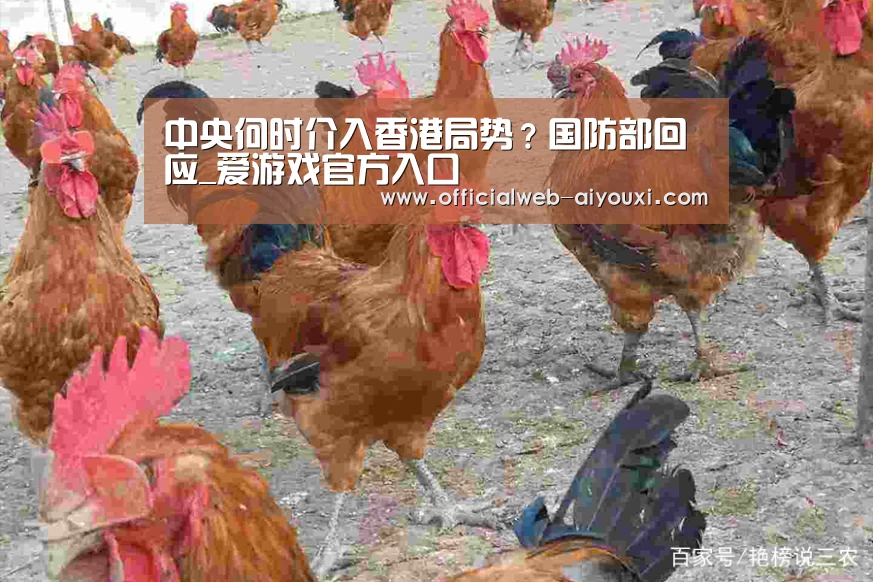 爱游戏app