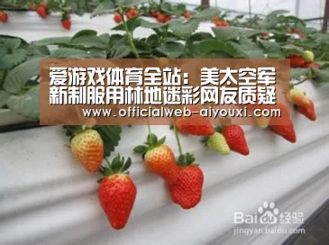 爱游戏体育全站:美太空军新制服用林地迷彩网友质疑:太空又没树(图2) 爱游戏体育全站